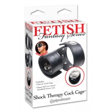 Fetish Fantasy Series  Shock Therapy Cock Cage